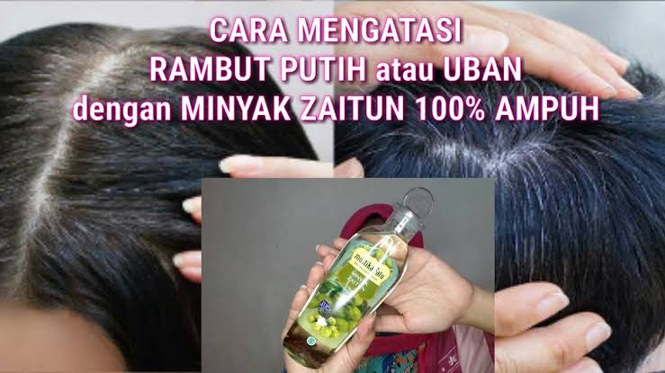 Ingin Hilangkan Uban Secara Alami, Emang Bisa? Tentu Bisa, Pakai Minyak Zaitun Secara Rutin, Begini Caranya