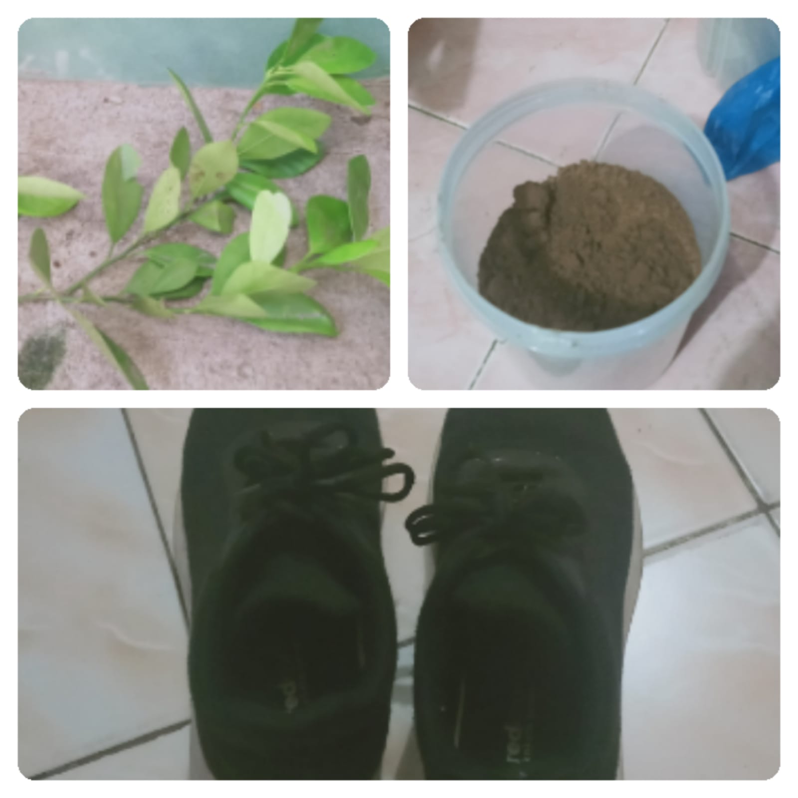 Ganti Bau Busuk Sepatu dengan Aroma Bubuk Kopi dan Daun Jeruk Nipis, Begini Caranya