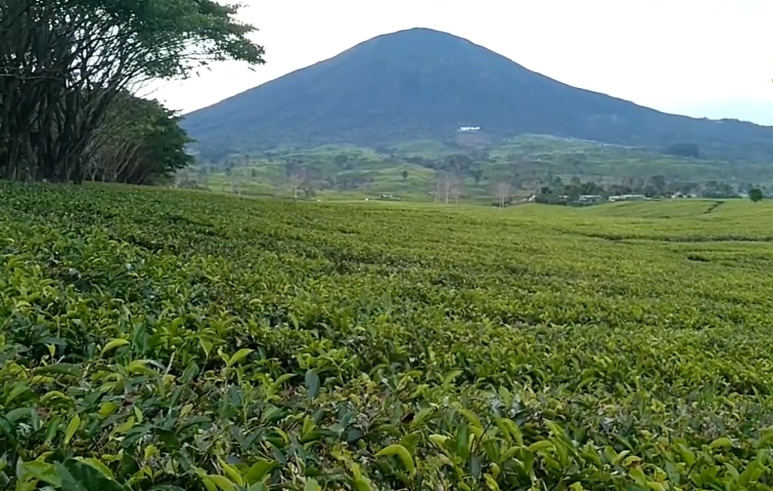 7 Wisata Pagaralam Sumatera Selatan Cocok untuk Liburan Tahun Baru, Salah Satunya Danau Merah