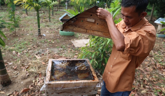 Tingkatkan Kesejahteraan Masyarakat, PT Bukit Asam Gelar Pelatihan Pengolahan Madu Hingga Penanganan Hama