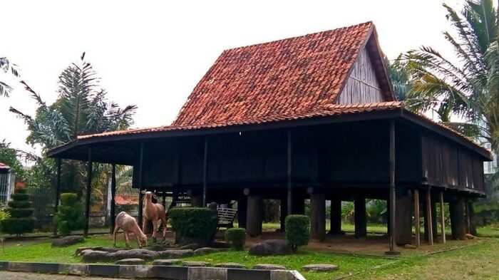 Mengenal Rumah Ulu, Rumah Adat Provinsi Sumsel yang Terkenal Kokoh Tahan Gempa, Kini Nyaris Punah?