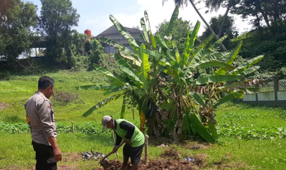 Bhabinkamtibmas Bantu Pengolahan Lahan Jagung di Area Masjid
