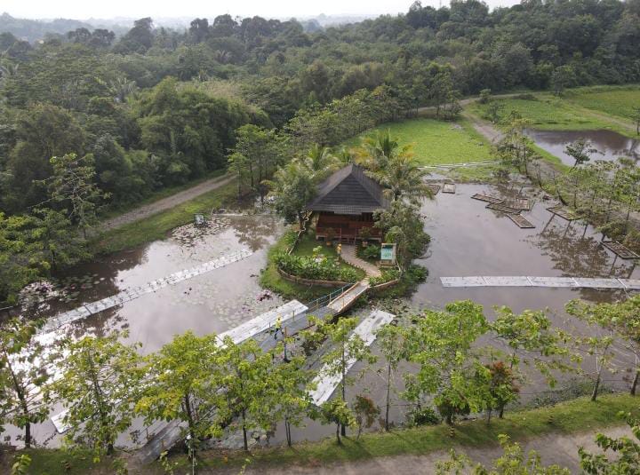 PT Bukit Asam Kembangkan Lahan Basah Buatan untuk Pemulihan Lingkungan