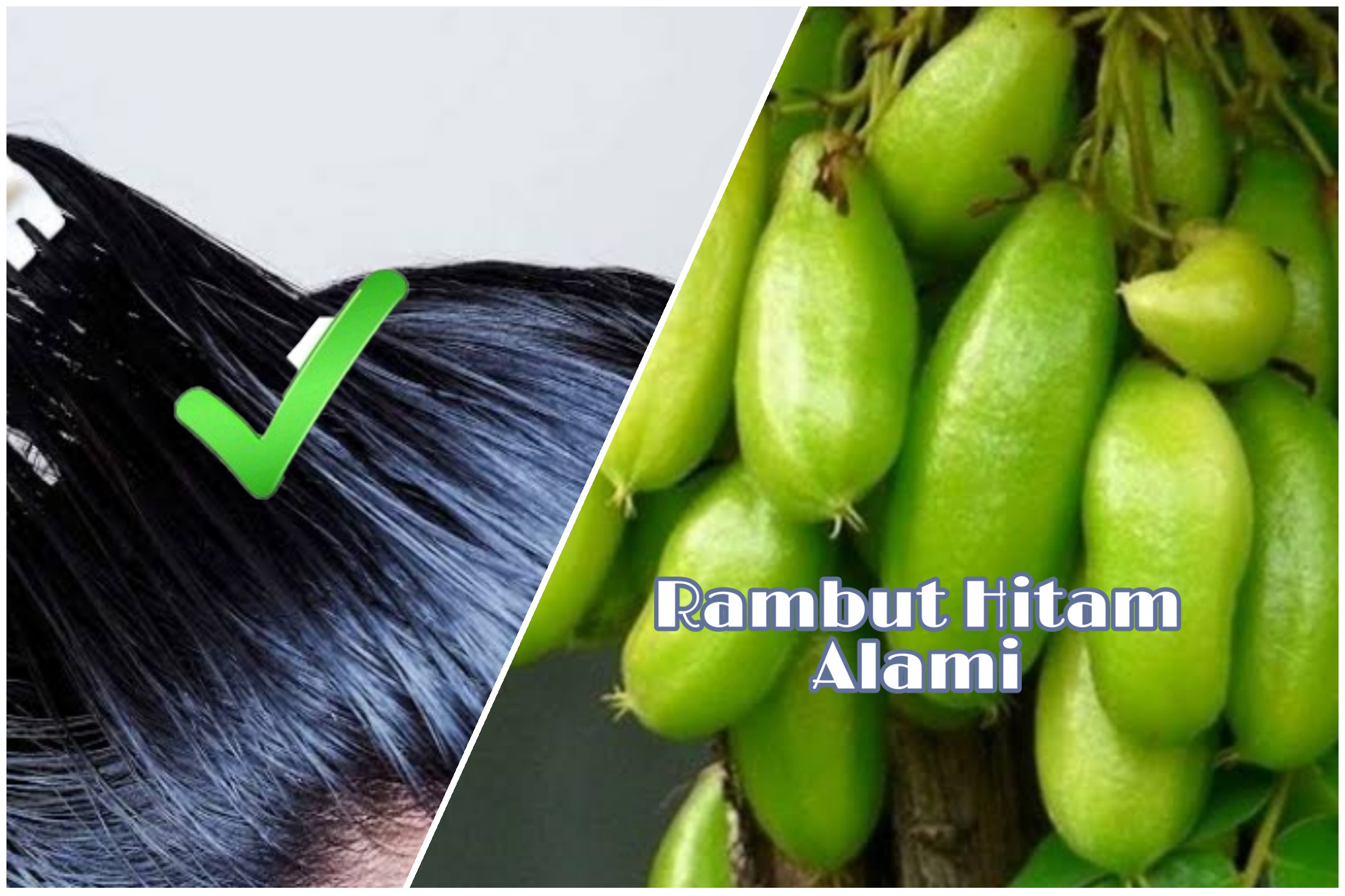 Rambut Hitam Alami Tanpa Uban Gak Perlu Dicat, Pakai Saja Buah Belimbing Wuluh, Dijamin Paten