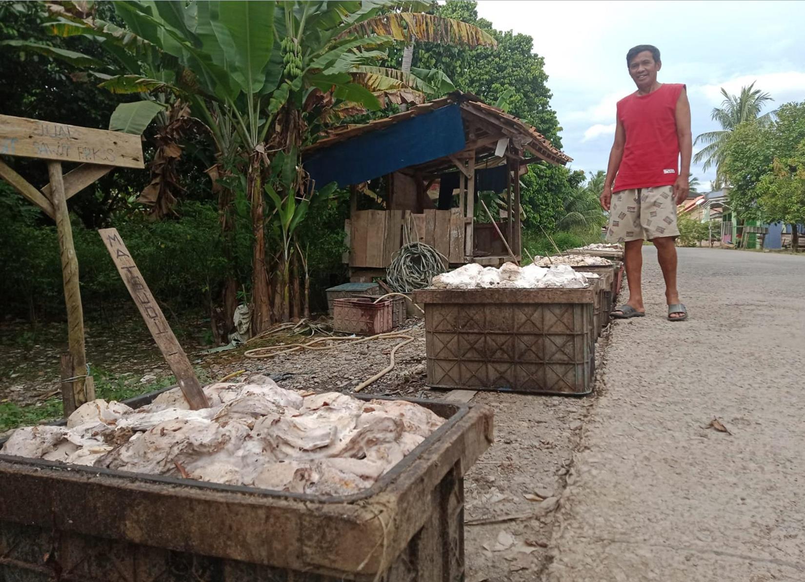 Harga Karet Anjlok, Ekonomi Semakin Terpuruk, Begini Harapan Petani