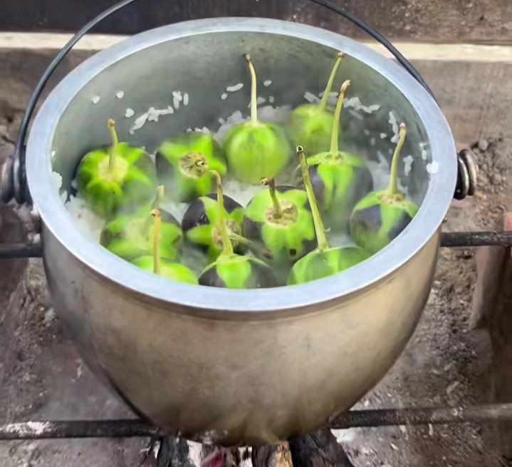 6 Manfaat Memasak Terong Bulat Bersamaan dengan Nasi