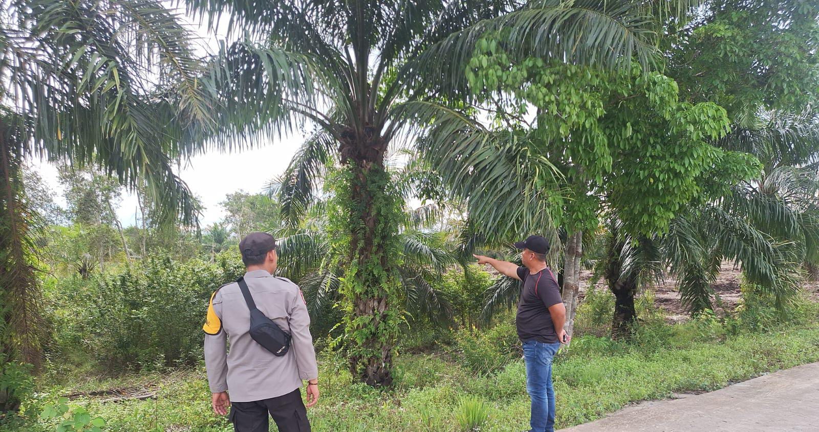 Polri Siapkan Lahan 4 Hektare untuk Pengeringan Jagung