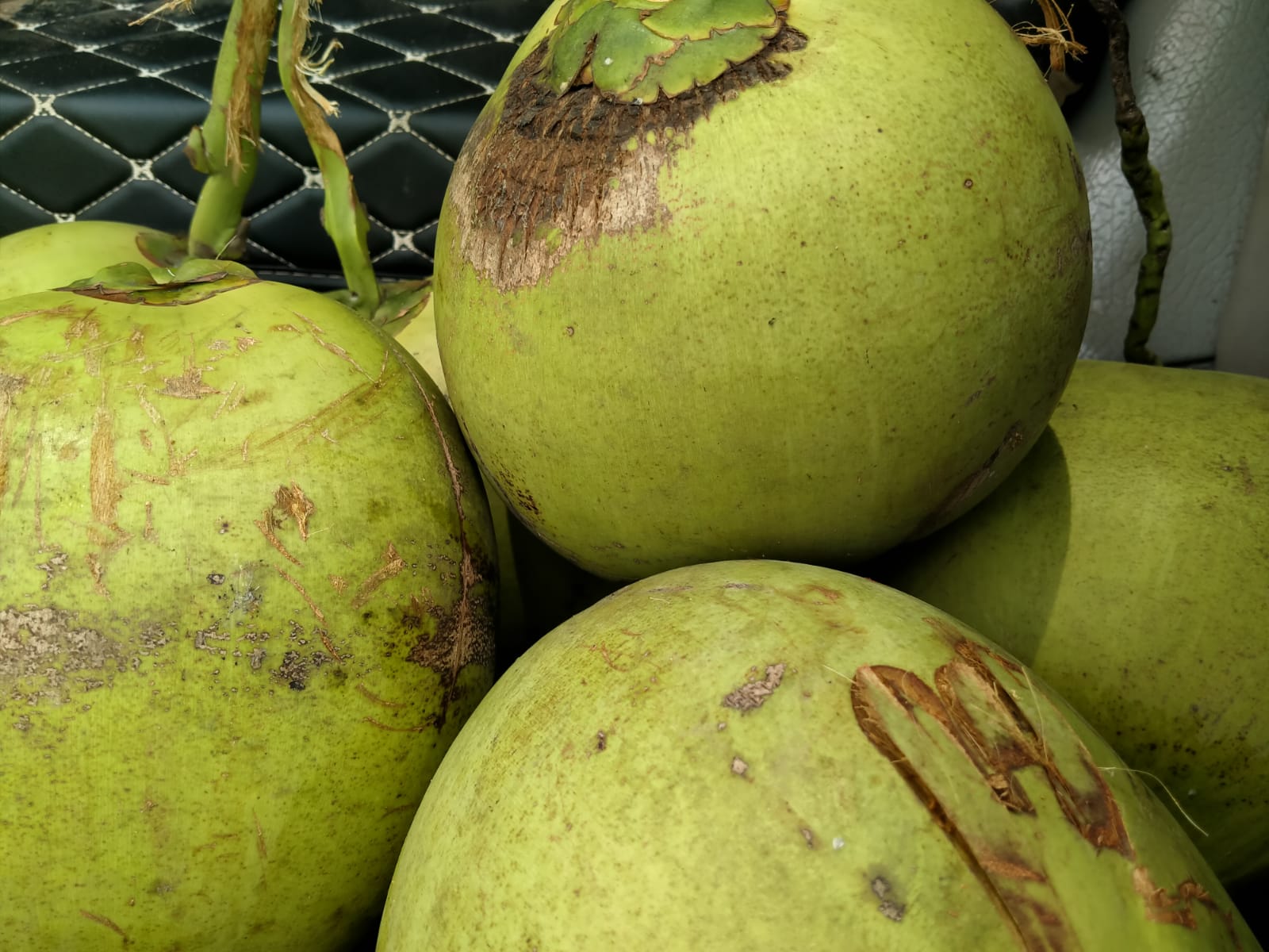 Yuk Simak! Ini 5 Resep Olahan Kelapa Muda Segar untuk Berbuka Puasa