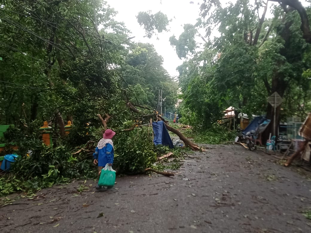 Angin Puting Beliung di Muara Enim Sebabkan Puluhan Atap Rumah Rusak dan Ratusan Pohon Tumbang