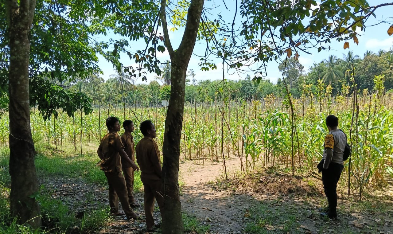 Polisi Beri Dukungan kepada Petani Jagung di Muara Enim