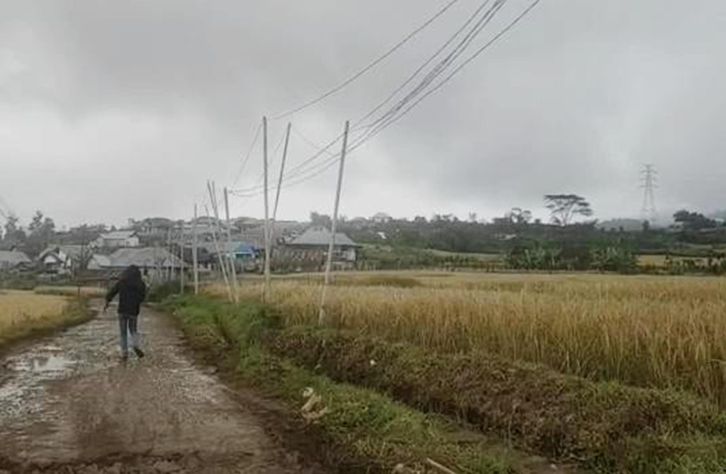 Soal Tiang Listrik Pakai Bambu di Desa Segamit, PLN Minta Warga Ajukan Proposal