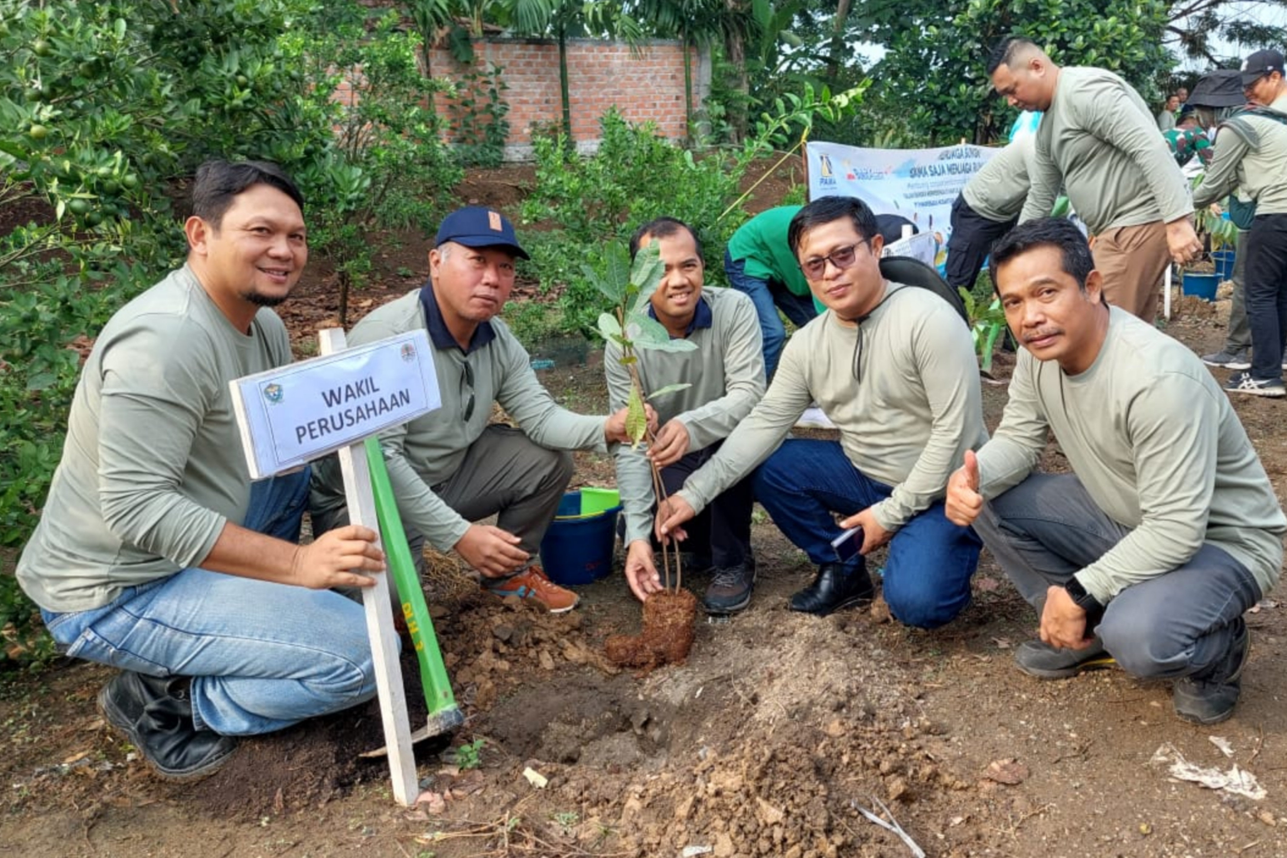 Komitmen Jaga Lingkungan Sekitar Tambang, PAMA Melakukan Penanaman 4.154 Pohon Penghijauan 