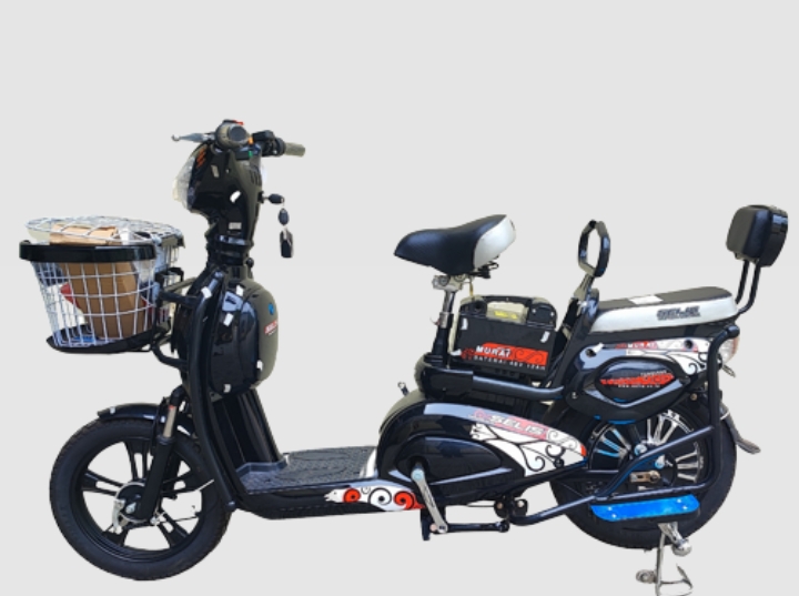 4 Rekomendasi Sepeda Listrik yang Layak Dijadikan Alat Transportasi Harian, Berikut Spesifikasinya
