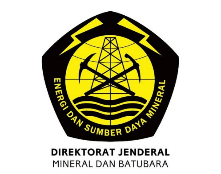 Operator Excavator Tewas Tenggelam, Dirjen Minerba Hentikan Aktivitas PTBA di Site MTBU