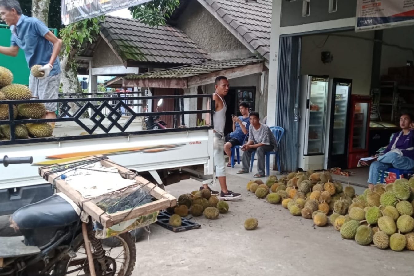 Buah Durian Lokal Tanjung Baru Kabupaten Muara Enim Manisnya Sampai ke Pulau Jawa