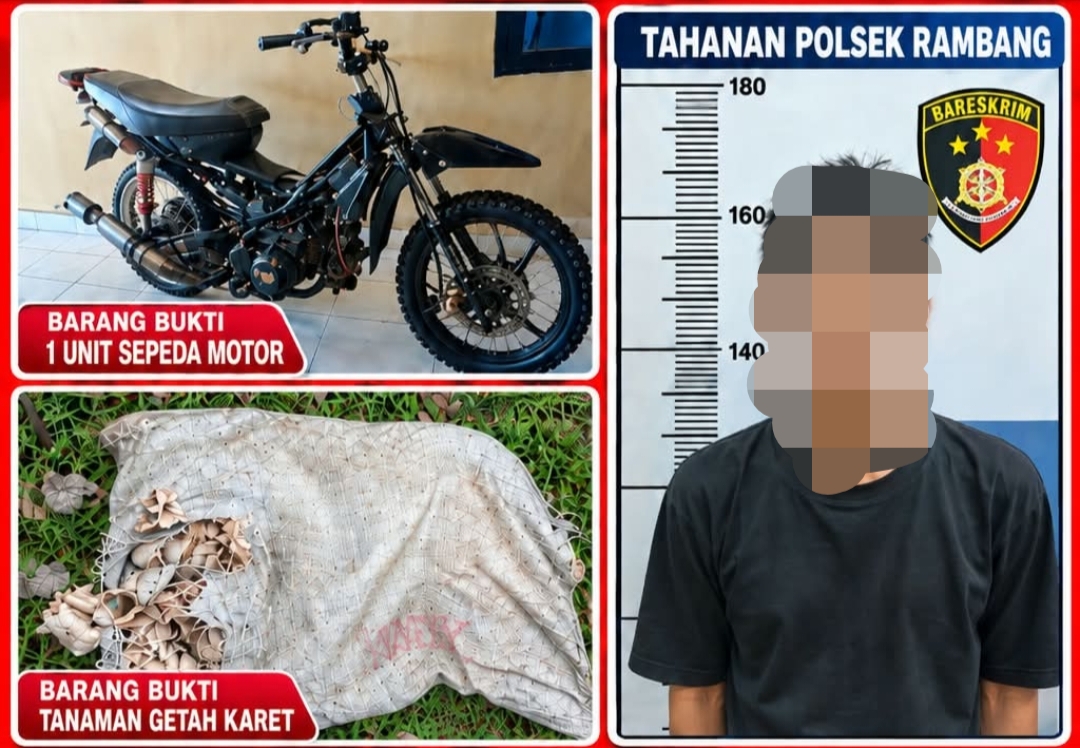 Curi 40 Kg Getah Karet, Residivis Diringkus Polisi