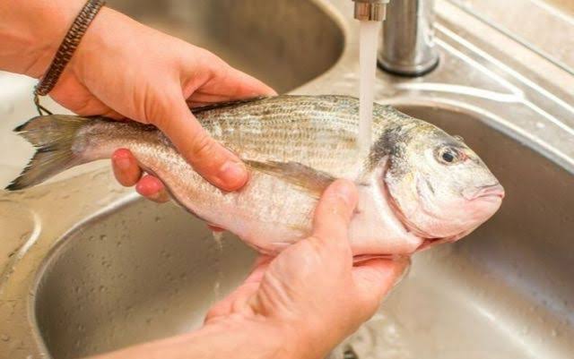 Bukan Pakai Jeruk Nipis, Ini Cara Mencuci Ikan Agar Tidak Amis dan Bebas Lendir Hanya Dengan Satu Bahan Dapur 