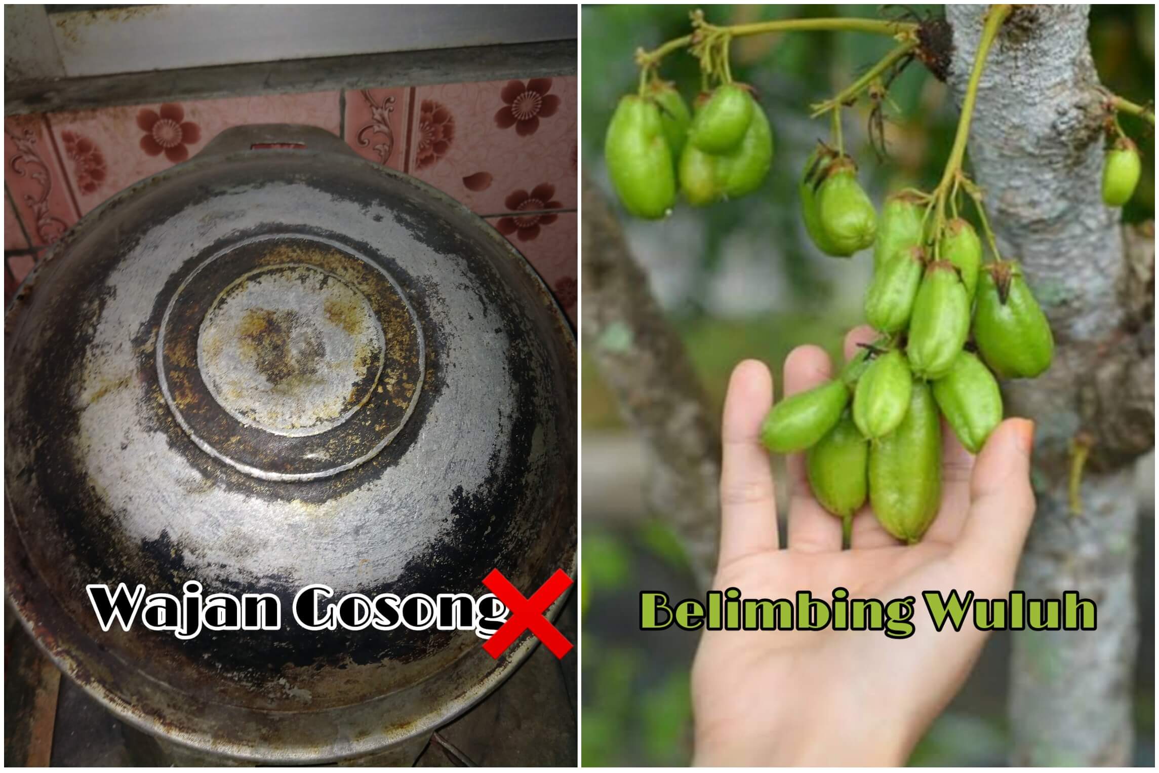 Mending Uangnya Buat Jajan! Wajan Gosong di Rumah Bersihkan Saja Pakai Belimbing Wuluh, Begini Caranya