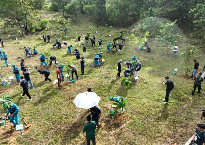 PT Bukit Asam Tanam Pohon di Lahan Bekas Tambang, Ini Tujuannya