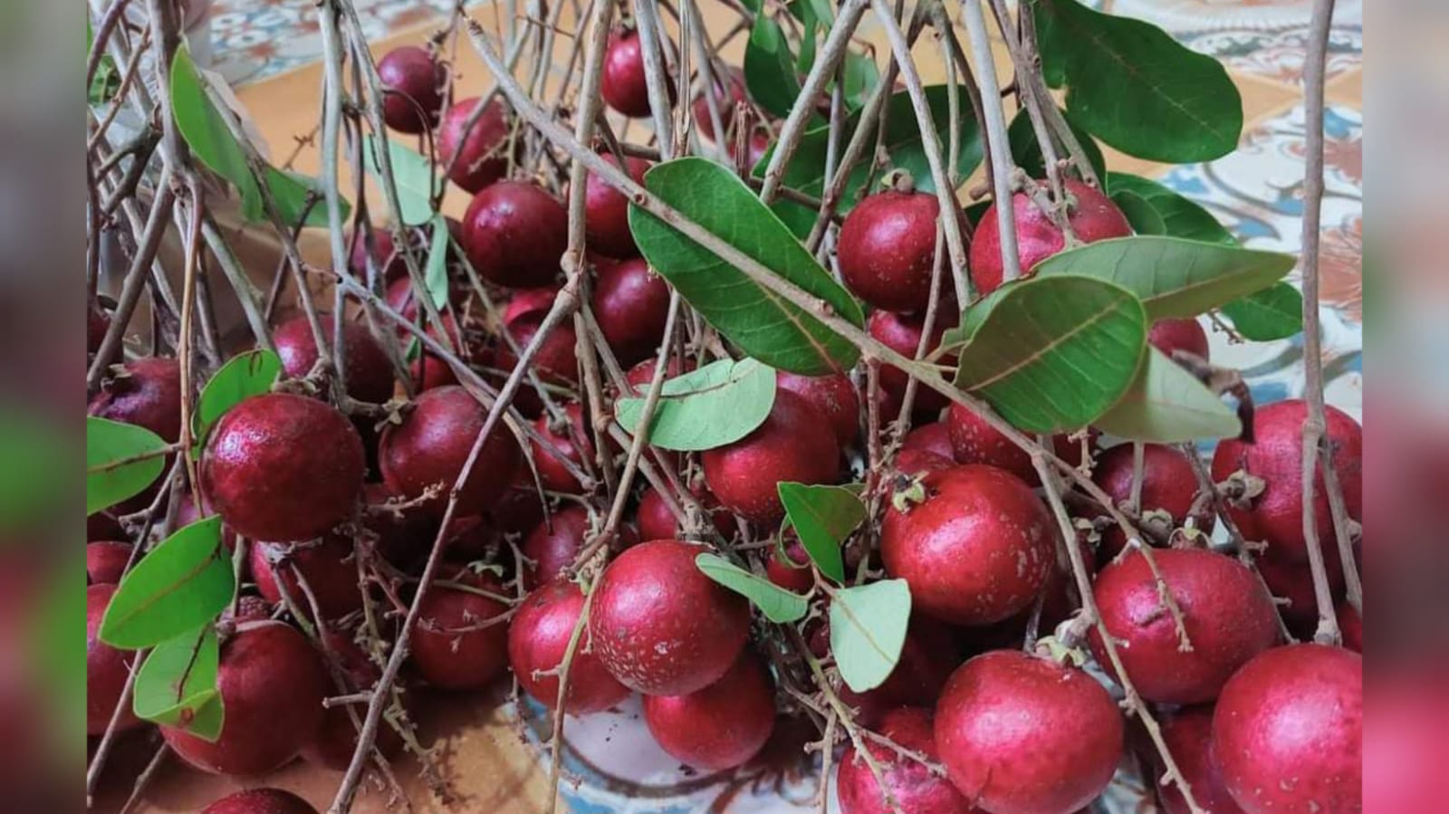 Yuk Moms, Temukan Manfaat Kelengkeng Merah Untuk Kecantikan