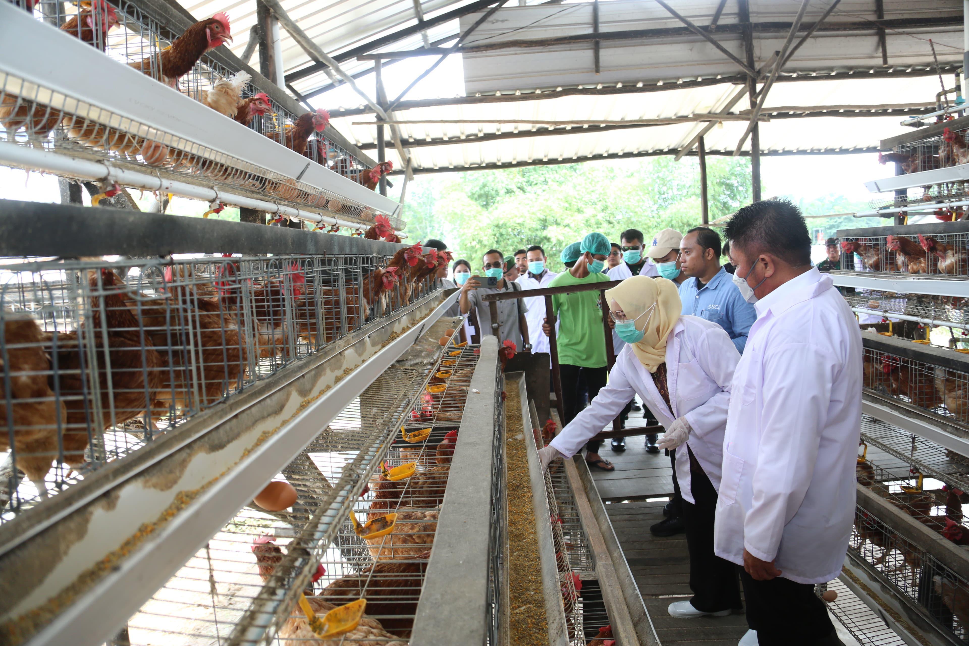 Gubernur Herman Deru Pastikan Sertifikasi NKV jadi Penjamin Kesehatan Konsumen