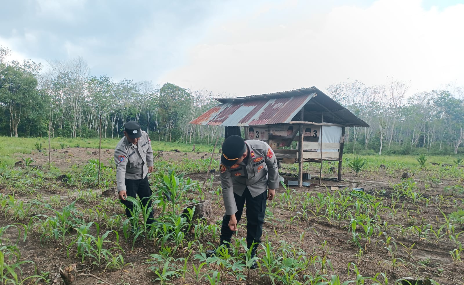 Polsek Rambang Dukung Kesejahteraan Petani Desa Sugih Waras Barat
