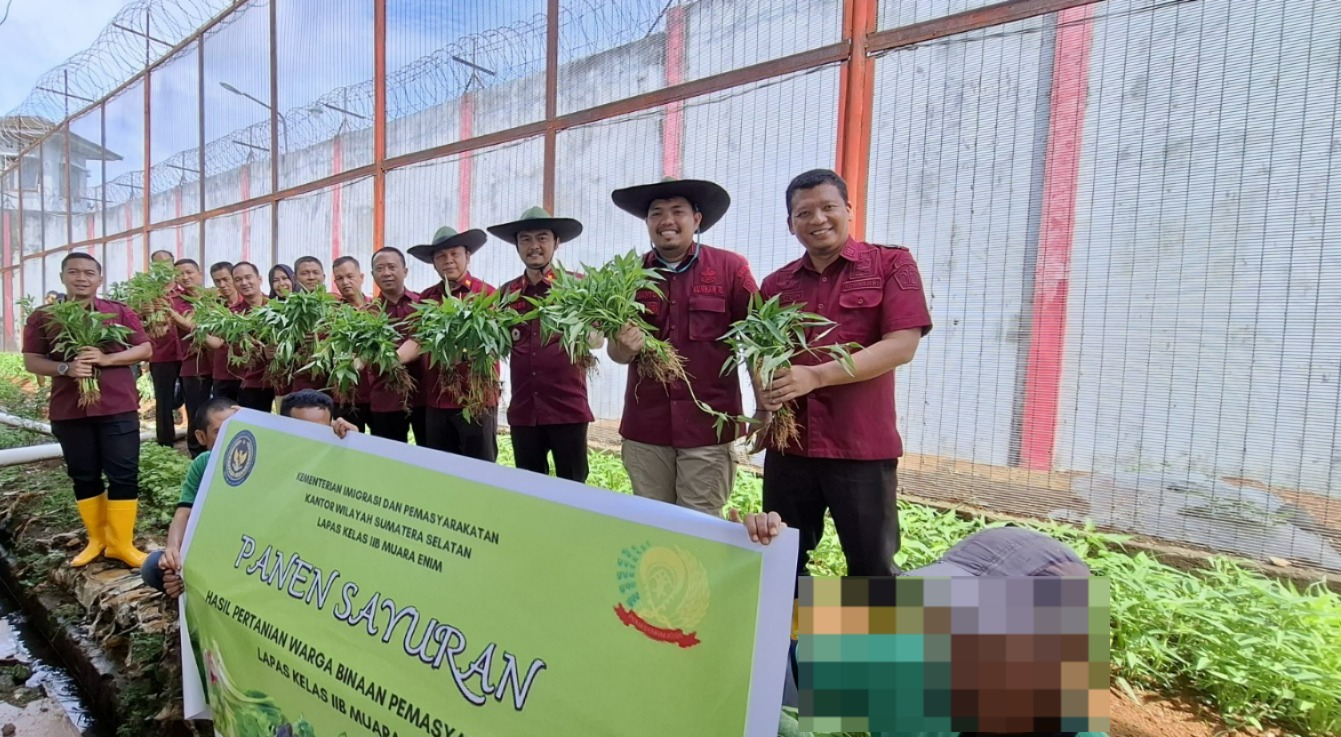 Wujudkan Ketahanan Pangan, Lapas Kelas IIB Muara Enim Panen Sayur Kangkung Hasil Budidaya Warga Binaan