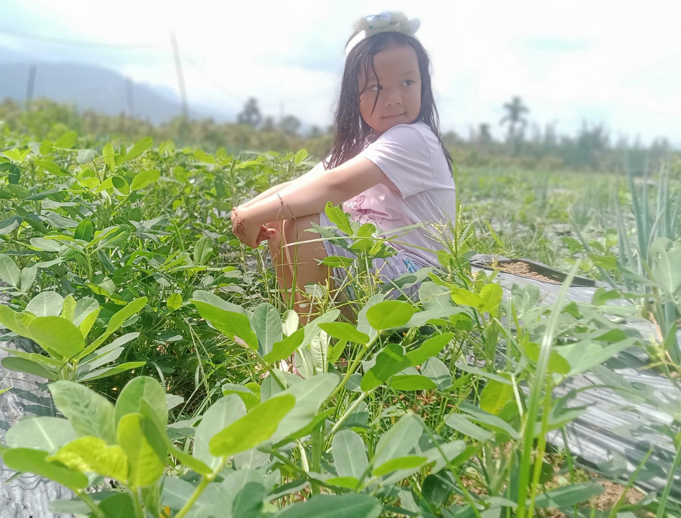 Fakta Jarang Diketahui! Ternyata Daun Kacang Tanah Baik untuk Kesehatan dan Kulit