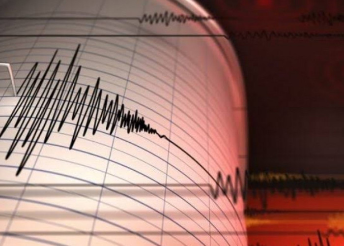 Gempa Bumi Magnitudo 7,3 Landa Kepulauan Mentawai, Waspada Karena Berpotensi Tsunami