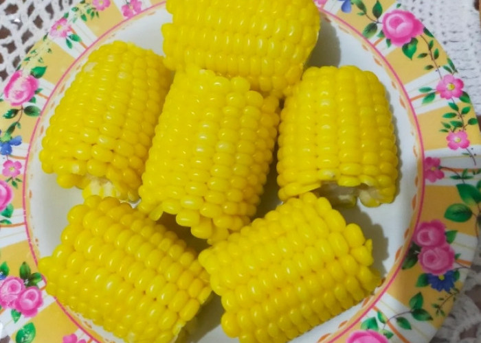 Kamu Harus Tahu! Ternyata Jagung Rebus Menyimpan Segudang Nutrisi  Baik untuk Tubuh