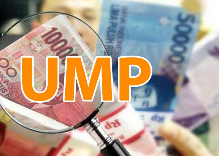 UMP Sumsel Sudah 2 Tahun Tidak Naik