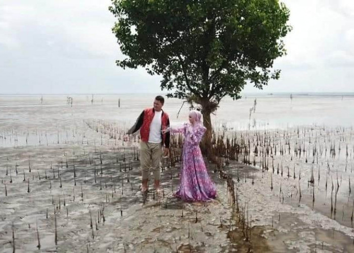 Dua Jam dari Palembang, di Sumsel  Ternyata Ada Pantai Berpasir Hitam yang Halus Mirip di Bali