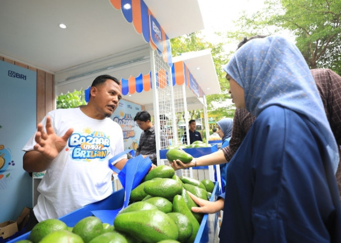 Berkat Program Pemberdayaan BRI Klasterku Hidupku, Petani Ini Berhasil Kembangkan Budidaya Alpukat