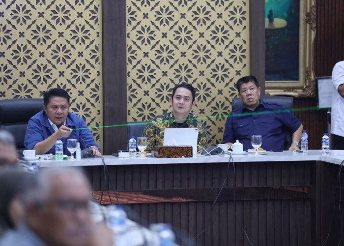 Herman Deru Inisiasi Pembentukan Wadah Organisasi Nasional Satlinmas