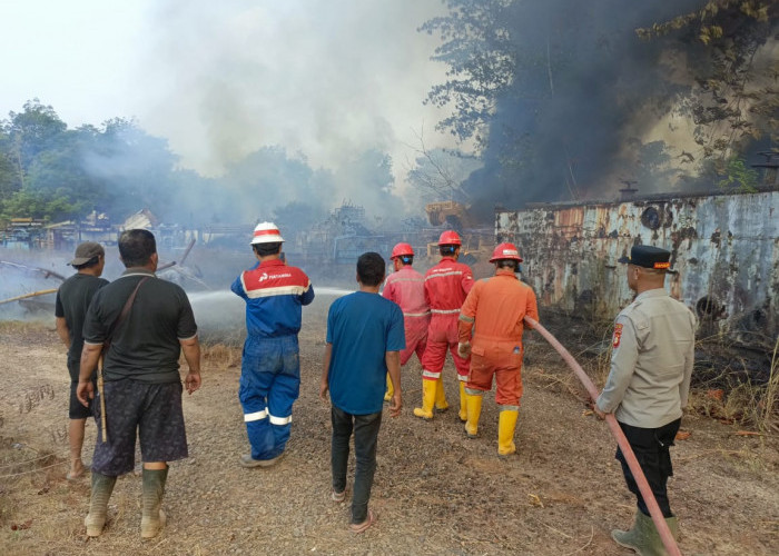 Sekitar 10 Hektare Lahan Terbakar, Tim Gabungan Berjibaku Padamkan Api