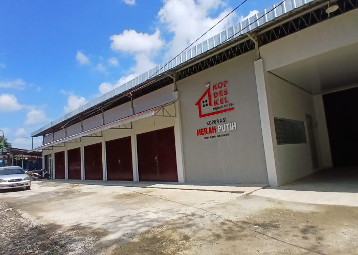 Rekrut 256 Manajer Koperasi Desa Merah Putih, Pemkab Muara Enim Tunggu Arahan Pusat