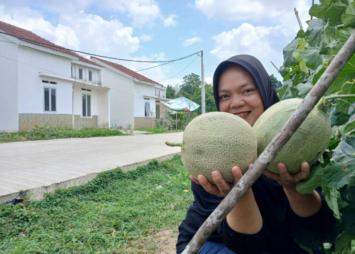 Suplai Kebutuhan Buah Segar untuk Keluarga
