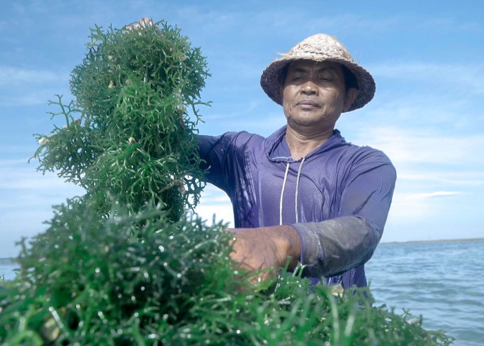 Ini Dia 5 Komitmen Nyata BRI Dorong Peningkatan Kualitas Dan Daya Saing UMKM