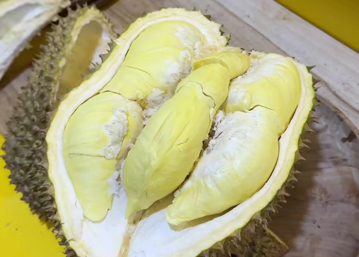 8 Manfaat Durian untuk Tubuh