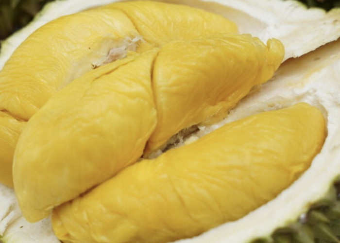 Durian Sumsel Terkenal  Enak di Indonesia, Ada yang Tahu Kabupaten Mana di Sumsel Penghasil Durian Terbesar?