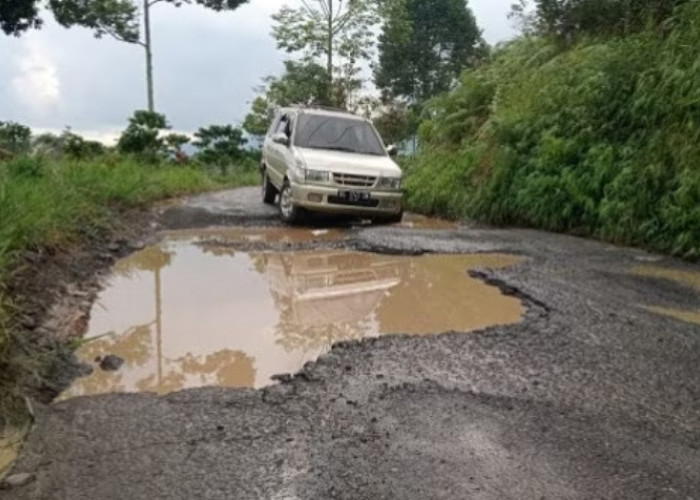 10 Jalan Kabupaten dengan Kerusakan Terbanyak