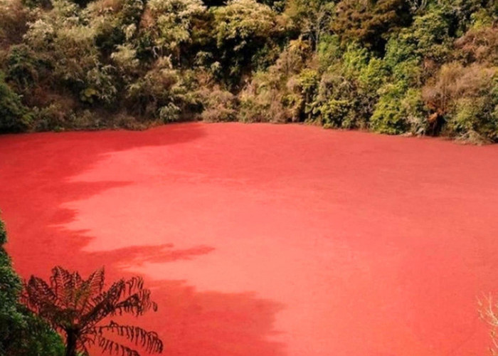 Danau Merah di Sumsel Ini Ditemukan Warga Pada Tahun 2010 Lalu, Begini Ceritanya