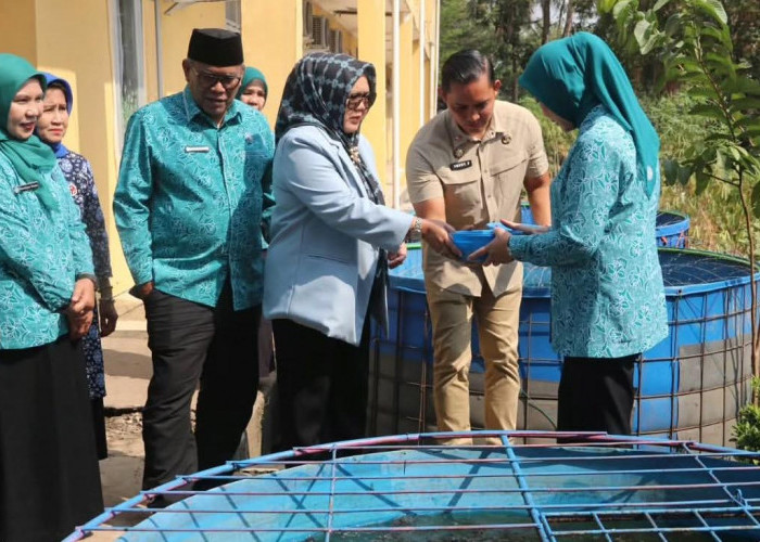 Perkuat Ketahanan Pangan Keluarga, Dinas Perikanan Muara Enim Dukung Program PKK