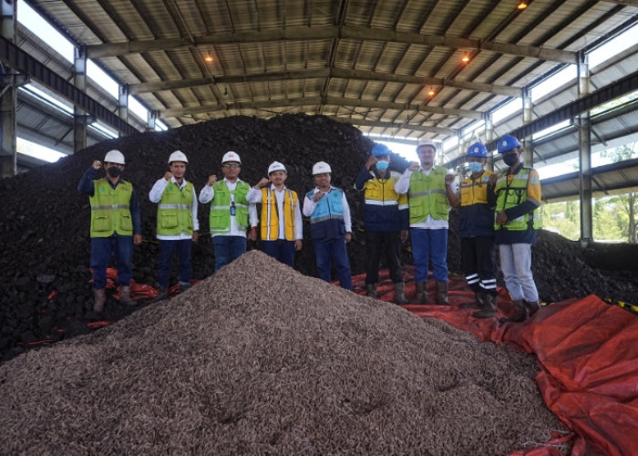 PTBA Perkuat Langkah Menuju Energi Bersih Lewat Uji Coba Co-Firing Wood Pellet di PLTU Tanjung Enim