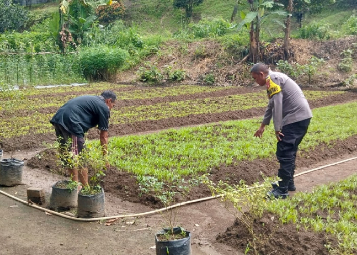 Bhabinkamtibmas Desa Karang Raja Dorong Masyarakat Manfaatkan Lahan Produktif