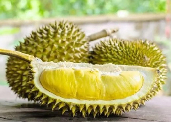 Pecinta ‘Raja Buah’ Masih Bingung, Bolehkah Durian Dikonsumsi Setiap Hari? Yuk Simak Penjelasannya di Sini