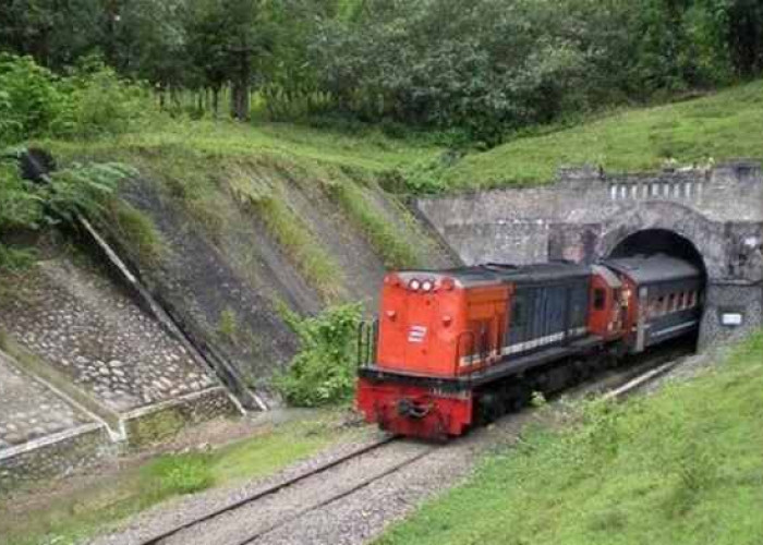 Terowongan Terpanjang di Provinsi Sumsel itu Ada di Kabupaten Empat Lawang, Lokasinya Disini
