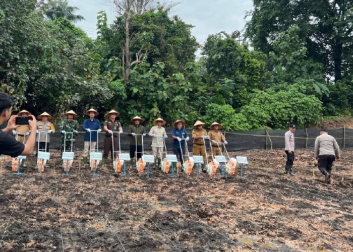 Sinergi dengan Polres Muara Enim, PT Bukit Asam Turut Mendukung Penanaman Jagung Serentak