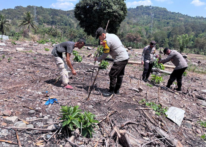 1,62 Hektare Lahan di Pandan Dulang Muara Enim Ditanami Jagung