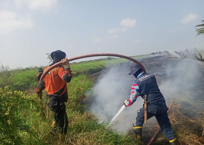 Karhutla Melanda 10 Hektare Lahan di Muara Enim, Pemadaman Terkendala Akses dan Sumber Air